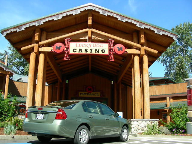 Casino Dog House